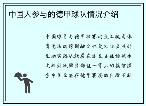 中国人参与的德甲球队情况介绍